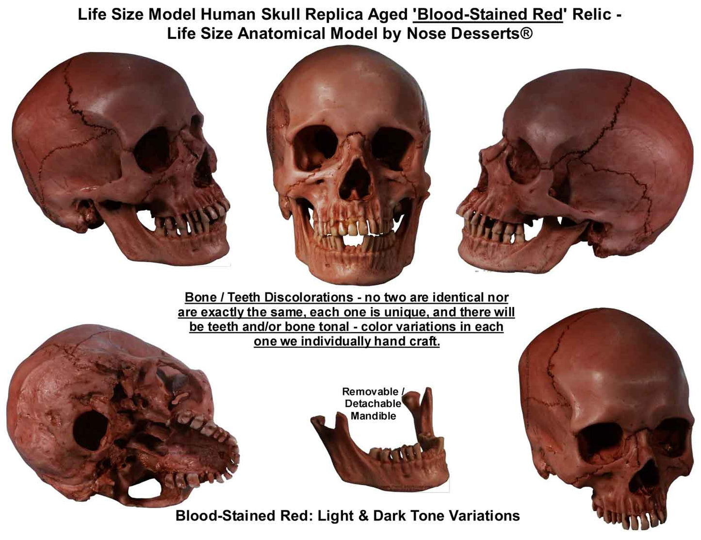 Aged Authentic Human Skull-Life Size Replica Aged Relic -Blood-Stained Red- #3093-5010 USA - FREE SHIPPING!
