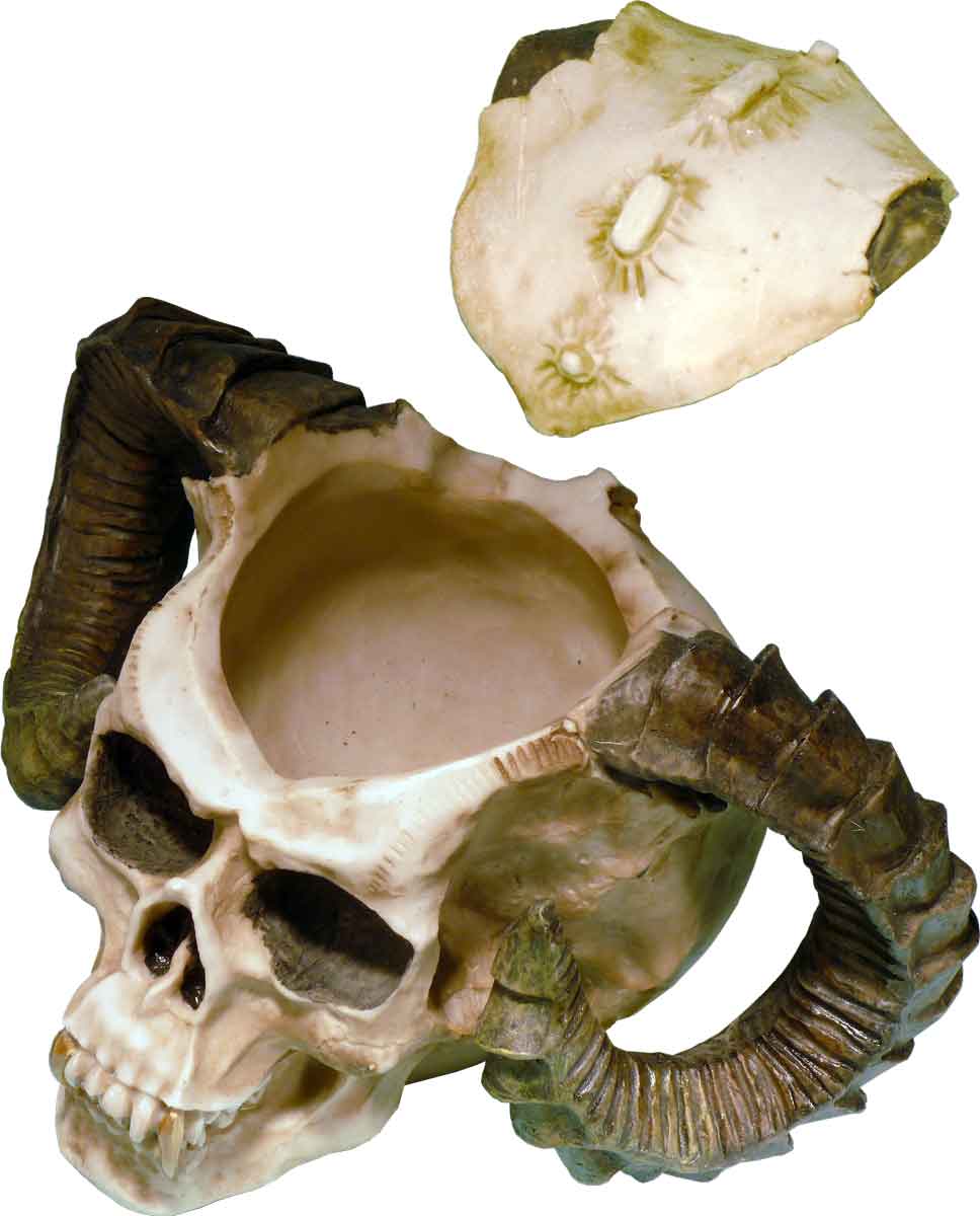 Human Evil Demon Devil Ram Horn Vampire Aged Relic Skull Voodoo, Removable Top Stash Ashtray - FREE SHIPPING!