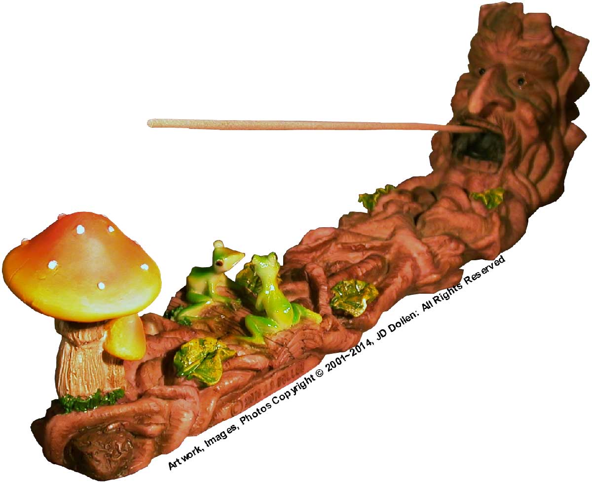 Magic Wizard and Tree Frogs Psychedelic Mushroom Garden Stick + cone Incense burner #2875 USA, FREE SGIPPING!