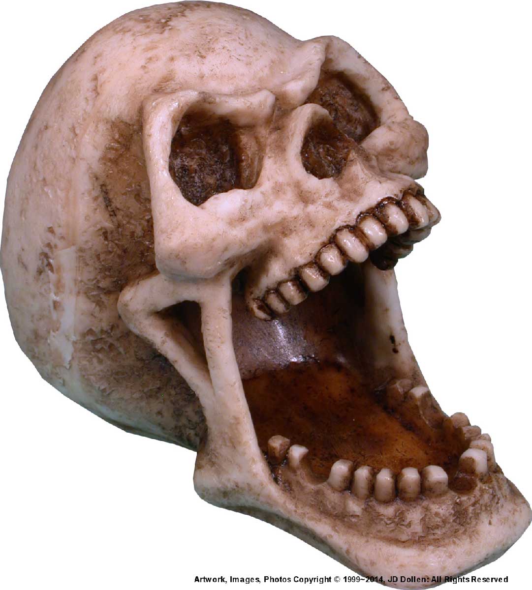 #0400-2894-05: Halloween Voodoo Demon Devil Vampire Human Skull - Open Mouth - Small Ashtray Candy Dish, FREE SHIPPING!